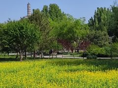 -北坞公园