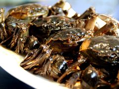 -新光酒家·河豚·海鲜·蟹料理(浦东店)