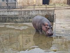 -合肥野生动物园