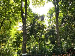 -广西壮族自治区药用植物园