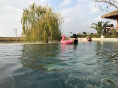 -苏州湾王焰温泉度假酒店