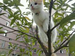 -仙海旅游度假区