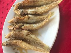-蛇口康乐快餐鱼仔档(翠苑小区店)