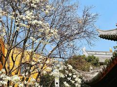 -龙华寺