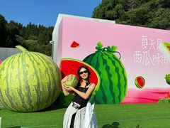 -玉苍山国家森林公园