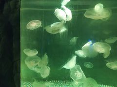 -南昌融创海世界