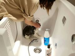 -Pets First伊珊娜洗护·精致美容·家庭式寄养(新会路店)