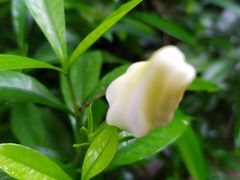 -四川大学(华西校区)