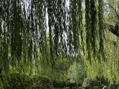 -满都海公园