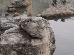 -东升八家郊野公园