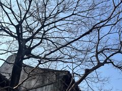 -新万鑫银丝面·非遗无锡味(惠山古镇店)