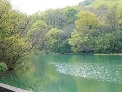 -白马涧龙池景区