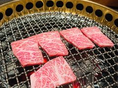 极上纯血和牛牛小排-300杯·和牛烧肉清酒专门店(廊里店)