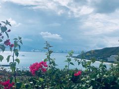 -芽庄珍珠岛游乐园