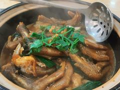 鸭掌焖鱼肉煲-苏记餐厅(叠南店)
