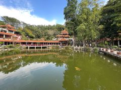 -深圳仙湖植物园