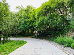 -北京西山国家森林公园