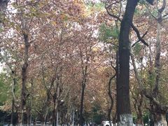 -四川大学(望江校区)