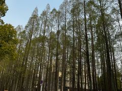 -上海交通大学(闵行校区)