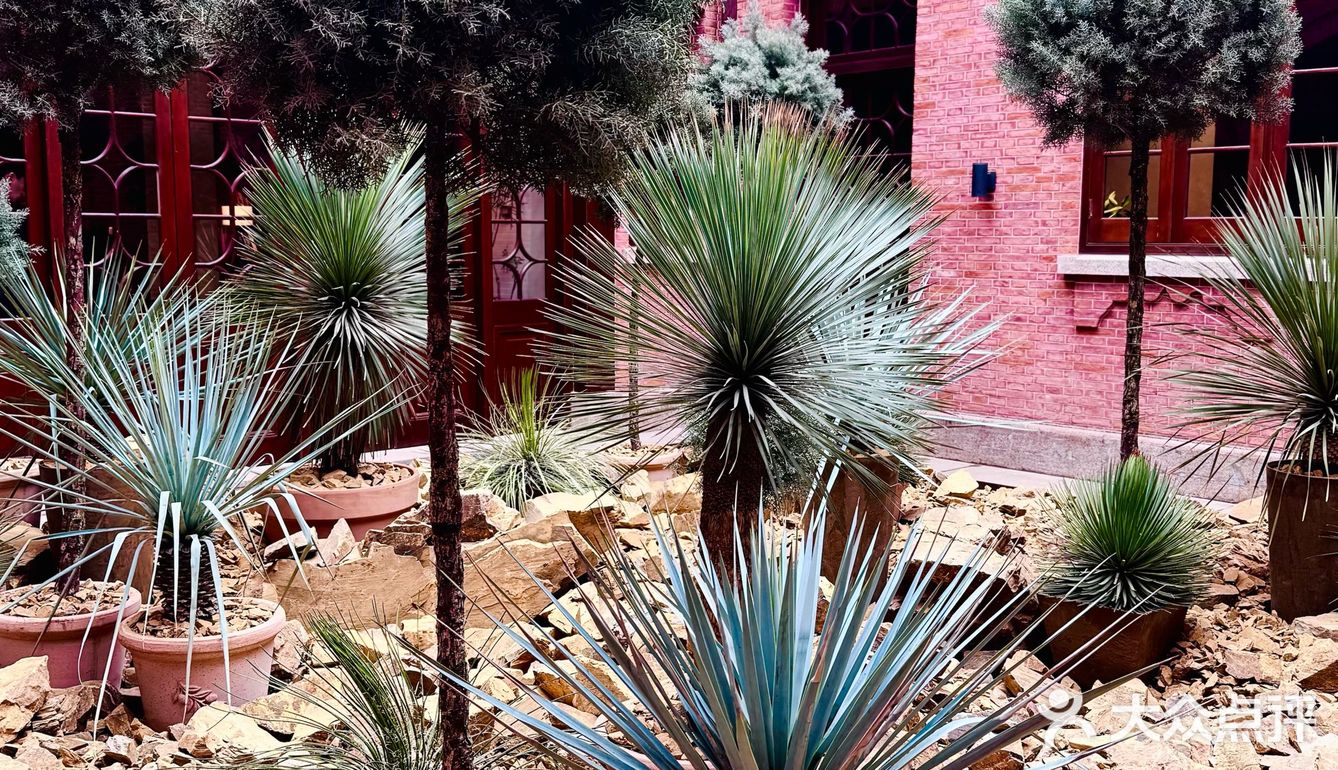 这里真的是餐厅吗？？