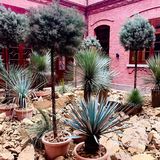 这里真的是餐厅吗？？