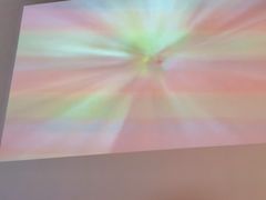 -里岛烤鱼(东港凯虹广场店)