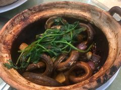 -台山美食一绝阿四台山黄鳝饭(阿四创作店)