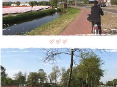 -库肯霍夫公园