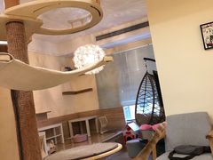 -滚猫咖啡·猫咖·猫友好撸猫(未来城店)