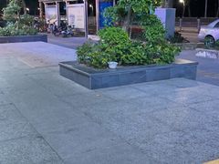 -蒙古原烤羊排(龙岗店)