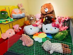 -PAWTOY爪e玩偶店(天兴罗斯福店)