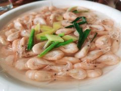 盐水白虾-美味之家·湖景农家乐(太湖东山店)