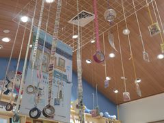 -猫的天空之城概念书店(印象城购物中心店)