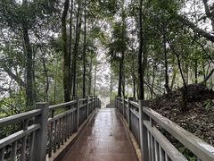 -碧峰峡风景区