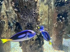 -海合安武汉极地海洋公园