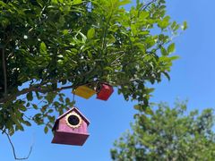 -苏州太湖西山岛开心农场