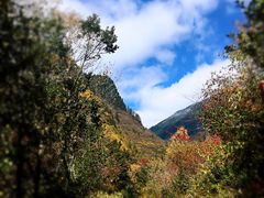 -叠溪松坪沟景区