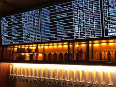 -麦落精酿啤酒餐吧(先农大院店)