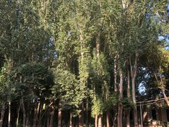 -艾提尕尔清真寺