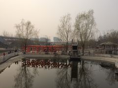 -北京鹿世界主题园