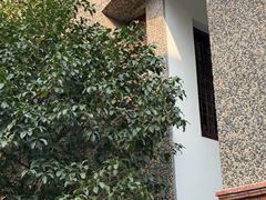 -思南书局(复兴中路店)