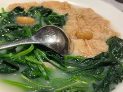 -桂满陇·海市蜃楼·黑金(国金店)