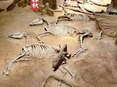 -洛阳周王城天子驾六博物馆