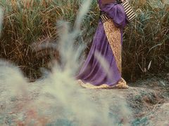 -盘龙城国家考古遗址公园