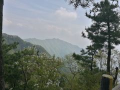 -王顺山国家森林公园