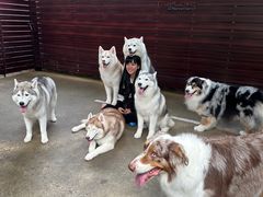 -TrueLove @ Neverland (Husky Cafe)