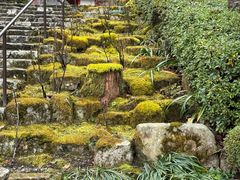 -三千院