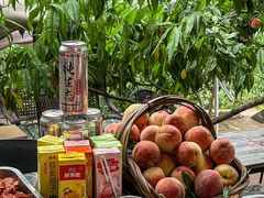 -桃源山庄·水蜜桃采摘·柴火鸡·烧烤团建(龙泉山店)