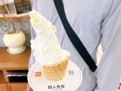 -野人先生Gelato(上海长宁龙之梦店)