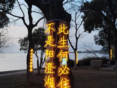 -品鲜村农家菜·阳澄湖大闸蟹(总店)